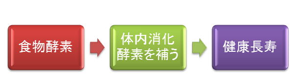 酵素栄養学 酵素栄養学